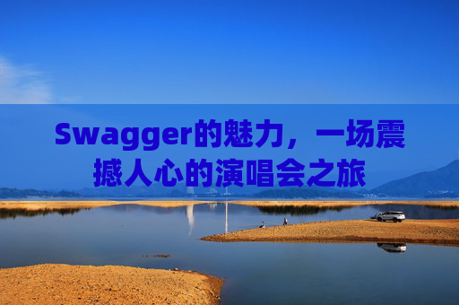 Swagger的魅力，一场震撼人心的演唱会之旅